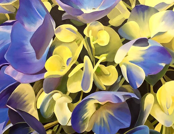 Brilliant Blue and Yellow Hydrangeas