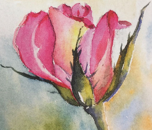 Greeting Card - Pink Bud