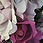 Thumbnail: Painting - A Vision in Pink