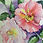 Thumbnail: Greeting Card - Double Old Fashioned Roses