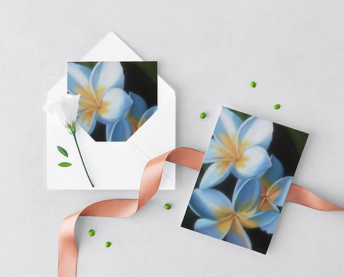 Greeting Card White Frangipani