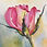 Thumbnail: Greeting Card - Pink Bud