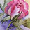 Thumbnail: Greeting Card - Leafy Rose