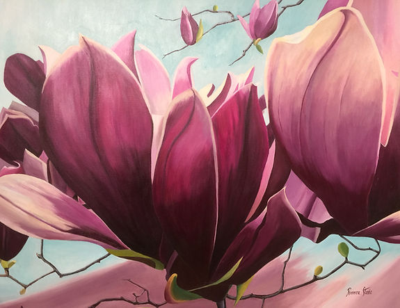 Port Wine Magnolia
