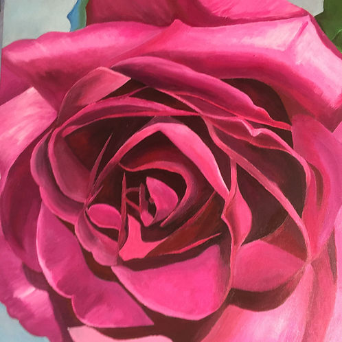 Hot Pink Rose