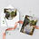 Thumbnail: Greeting Card - Charley's Creek